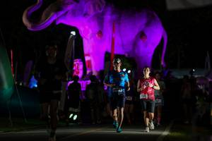 BIB: 
                            <button type="button" onclick="openModal(26530641)" class="btn btn-primary btn-sm float-right btn-popup" data-toggle="modal" data-target=".modal-high-quality">
                        <i class="fas fa-shopping-cart"></i> Add to Cart
                    </button>
                                            <button type="button" onclick="isThisMe(26530641, true)" class="btn btn-success btn-sm float-right btn-popup btn-isme hidden" data-toggle="tooltip" data-placement="bottom" title="นี่คือรูปของคุณใช่ไหม คลิกที่นี่เพื่อเอาเข้าอัลบั้ม">
                        <i class="fas fa-plus"></i> Add to album
                    </button>
                    <button type="button" onclick="isThisMe(26530641, false)" class="btn btn-warning btn-sm float-right btn-popup btn-isnotme hidden">
                        <i class="fas fa-ban"></i> Remove from album
                    </button>